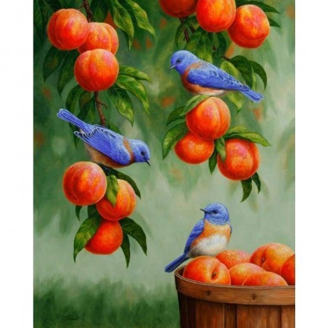 New Hot Sale Animal Cute Bird Full Drill - 5D Diy Diamond Painting Kits