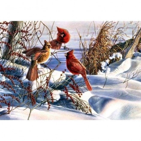 New Snow Bird Bling Bling Art Diamond Painting Kits