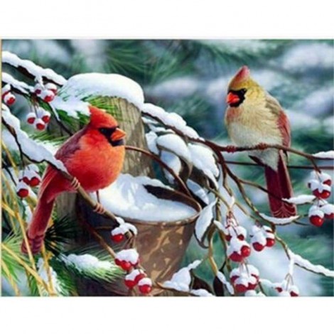 New Snow Bird Bling Bling Art Diamond Painting Kits