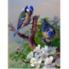 New Hot Sale Wall Decoration Bird Full Drill - 5D Diy Diamond Painting Kits