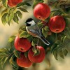 New Hot Sale Canvas Animal Cute Bird Full Drill - 5D Diy Diamond Painting Kits