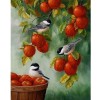 New Hot Sale Animal Cute Bird Full Drill - 5D Diy Diamond Painting Kits