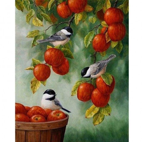 New Hot Sale Animal Cute Bird Full Drill - 5D Diy Diamond Painting Kits