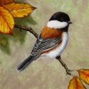 New Hot Sale Canvas Animal Bird Full Drill - 5D Diy Diamond Painting Kits