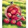 New Hot Sale Animal Cute Bird Full Drill - 5D Diy Diamond Painting Kits