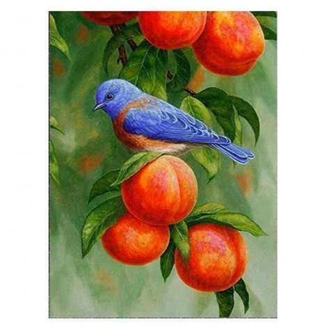 New Hot Sale Animal Cute Bird Full Drill - 5D Diy Diamond Painting Kits