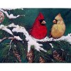 New Christmas Bird Bling Bling Art Diamond Painting Kits