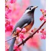 New Bird Pattern Wall Decor Full Drill - 5D Diy Diamond Painting Kits