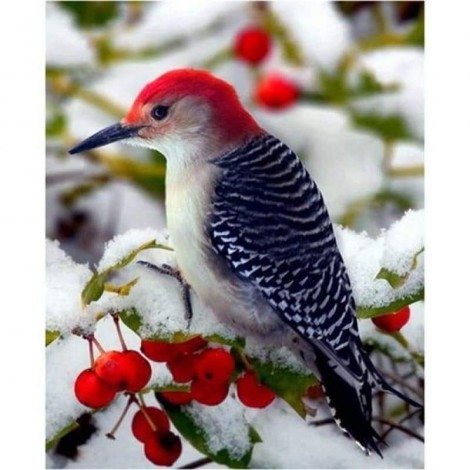 Red Headed Bird  Full Drill - 5D Diy Diamond Painting Kits