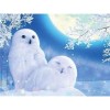 Full Drill - 5D DIY Diamond Painting Kits Special Winter Moon Owl Couple