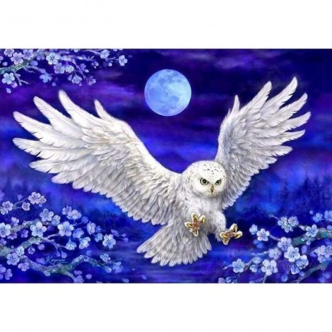 Full Drill - 5D DIY Diamond Painting Kits Night Flying White Owl