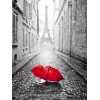 Full Drill - 5D DIY Diamond Painting Kits Grey Landscape Eiffel Tower Red Umbrella